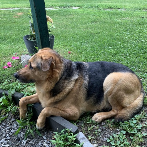 Fuck you SoundCloud de pas me laisser mettre ces chanson dans ma playlist