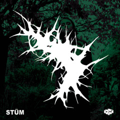 STÜM - Son Of The Forest (DYLAN099 EDIT)