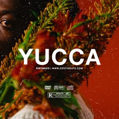 (FREE) B Young ft Omah Lay & Wizkid Type Beat "YUCCA" | Free Beat | Afrobeat Instrumental 2023