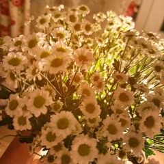 Я умру во вторник утром