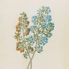 HK_Fantaisies_tracks_227