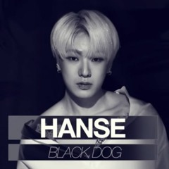 도한세 (DO HANSE Of VICTON) - BLACK DOG (New World Concert)