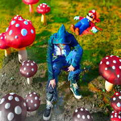 ShRooMs prod.meedow