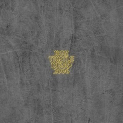 Box Turtle, Magnificent Isn't She (2006 Demo)