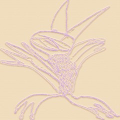 EYRA - PESO NETO EP (RA:010)