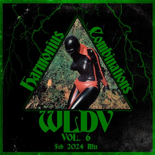 WLDV - Harmonious Combinations Vol. 6 - Feb 2024