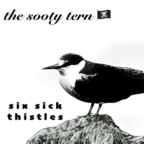 FAWM 23: 14 The Sooty Tern