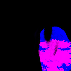 she