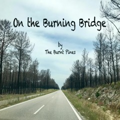 On The Burning Bridge