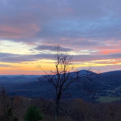 Alpina Lane ©  -- featuring Sarah Wilkinson