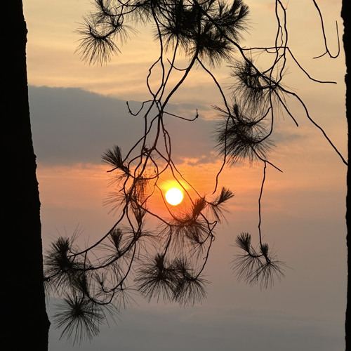 Stream Golden Hour JVKE (violin cover) by orine Listen online for