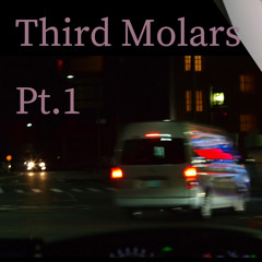 【SOLD】Third Molars Pt.1