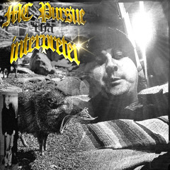 EASTER BUNNY SNIPPET DEMO 2003