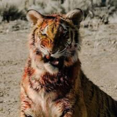 Captain James amongst the Maelstrom