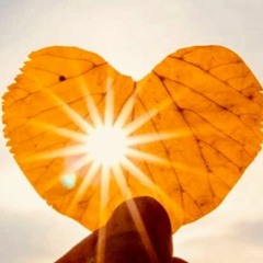 Only Love