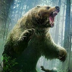 MC RF A BRABA PRO URSO (DJR) FOOODA 2022