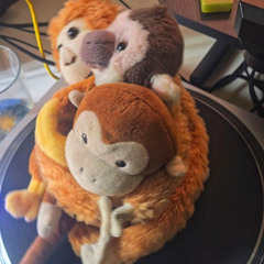 August 20th Stream 2025