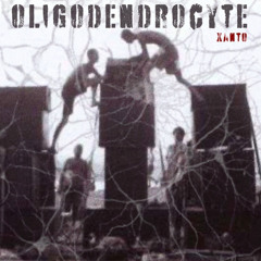 xanto - Oligodendrocyte