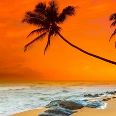 Sunset - Ft. YLC Ethan, XansFr