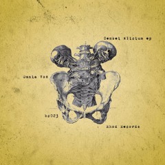 Preview // Omnia Vox - Sensei Xlicium EP