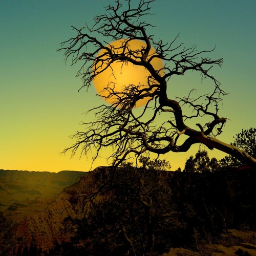 Djavan - Serrado (Dj Sonorus edit)