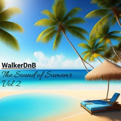 Walker - The Sound of Summer Vol 2