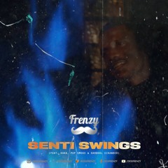DJ Frenzy - Senti Swings