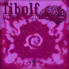 Set Mental Tekno - L'Agora festival