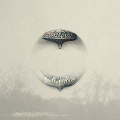 Grey Form - Kaveldun ( Promo Clip )