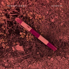 PREMIERE: Fernando Lagreca - Robotto (Original Mix) [Beautiful Accident]