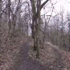 twenty-three days til my body decays (prod. wingsxrra)