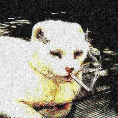 Strung Out On Phonics!