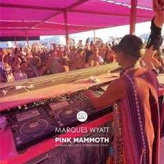 Marques Wyatt - Pink Mammoth - Burning Man 2025