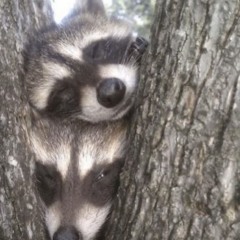 I got, I got sm love (prod. By s2000)