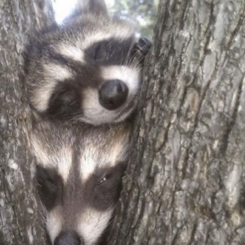 I got, I got sm love (prod. By s2000)