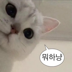 중간에 꾸벅꾸벅 졸면서 만든 믹셋