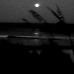 Blood Moon