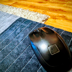 01 REC-2025-02-02 (mp3cut.net) working(2)