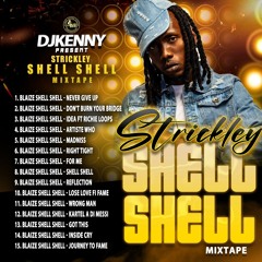 DJ KENNY STRICTLY SHELL SHELL MIXTAPE 2024