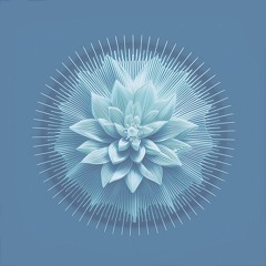 Janca - Radients