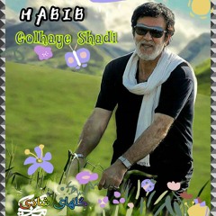 Habib- Goolhayeh Shadi🔱حبیب-گلهای شادی.mp3