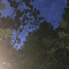 3AM collage (modern beings)