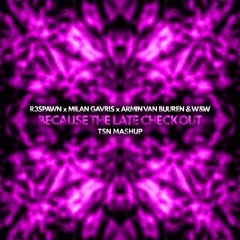 R3SPAWN x Milan Gavris x Armin Van Buuren & W&W - Because The Late Checkout (TSN Mashup)