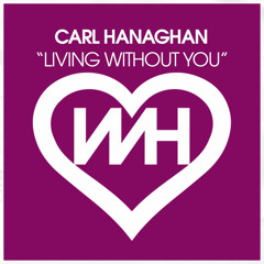 Living Without You (Mix)