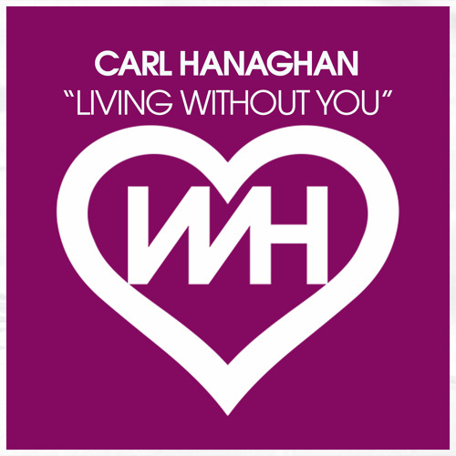 Living Without You (Mix)