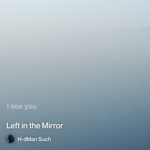 left-in-the-mirror 5.