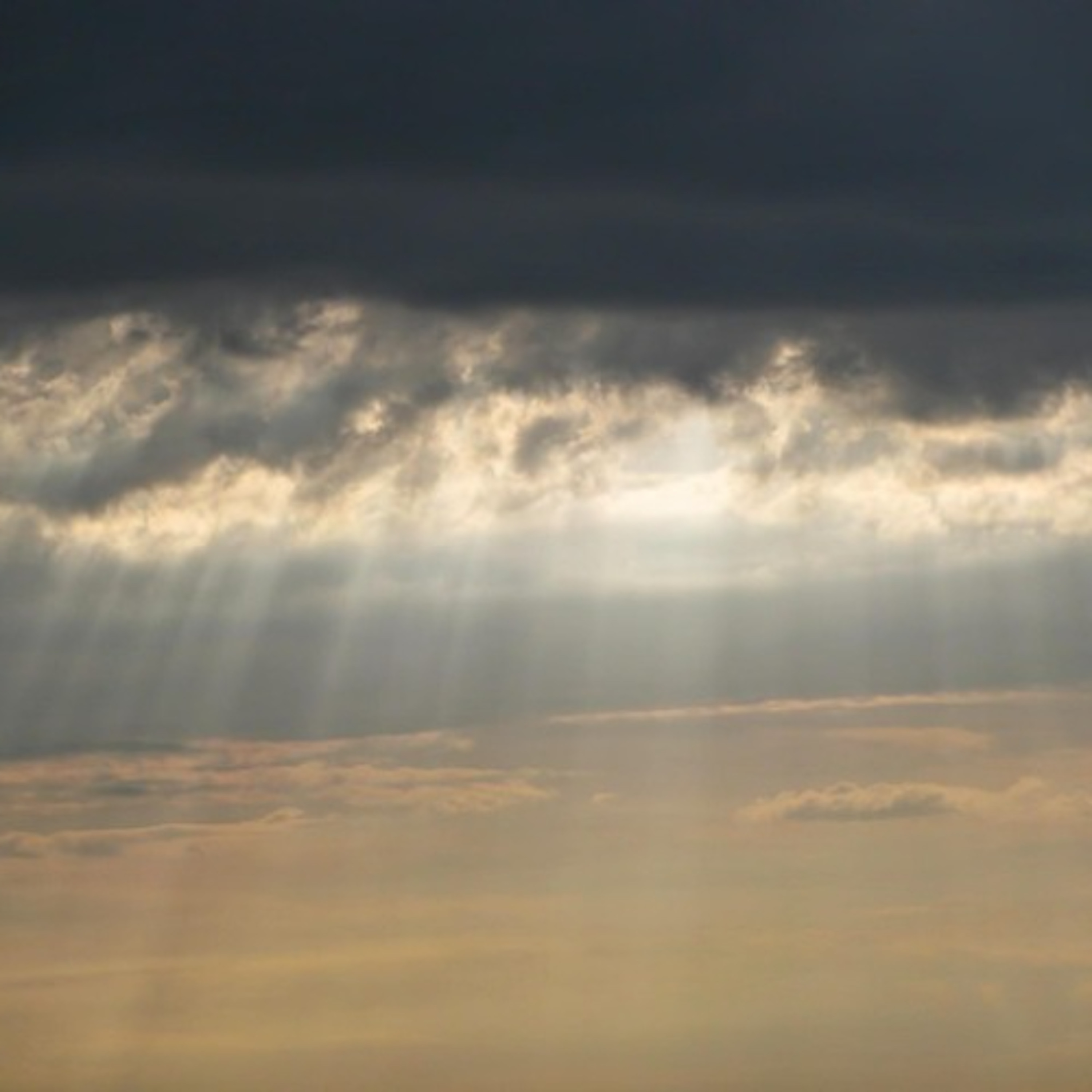 Nitpicking, News, Bonding Over Bondi - Pull Up a Chair