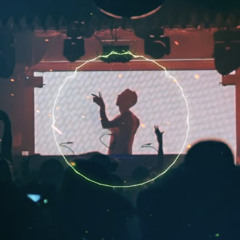 flamingo tyago EDM ver