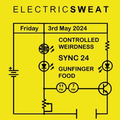 Electric Sweat - Promo Mix - May 2024