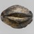 Artwork for Silver Gilt Mouthpiece (BasedByBirthBoyz)